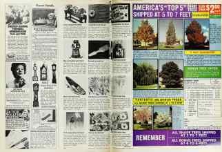 Better Homes & Gardens October 1975 Magazine Article: Page 122