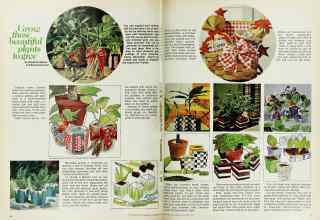 Better Homes & Gardens November 1975 Magazine Article: Grow these beautiful plants to give