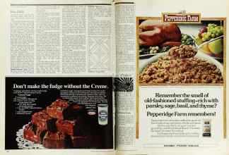 Better Homes & Gardens November 1975 Magazine Article: Page 98