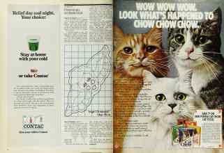 Better Homes & Gardens December 1975 Magazine Article: Page 6