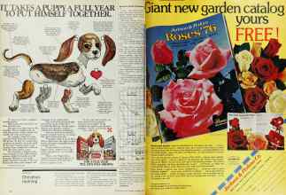 Better Homes & Gardens December 1975 Magazine Article: Page 12