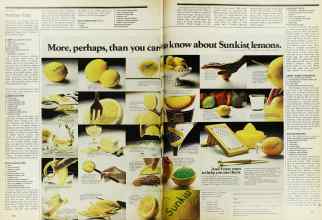 Better Homes & Gardens December 1975 Magazine Article: Page 100