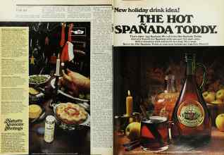 Better Homes & Gardens December 1975 Magazine Article: Page 104