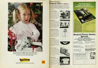 Better Homes & Gardens December 1975 Magazine Article: Page 116