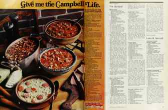 Better Homes & Gardens February 1976 Magazine Article: Page 86