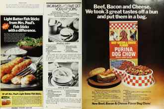 Better Homes & Gardens March 1976 Magazine Article: Page 28