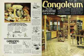 Better Homes & Gardens March 1976 Magazine Article: Page 30