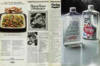 Better Homes & Gardens March 1976 Magazine Article: Page 44