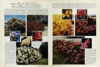 Better Homes & Gardens March 1976 Magazine Article: Page 82