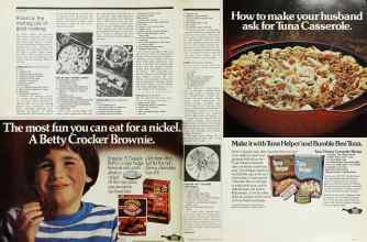 Better Homes & Gardens March 1976 Magazine Article: Page 102