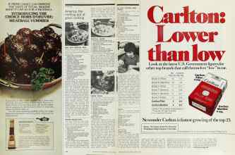 Better Homes & Gardens March 1976 Magazine Article: Page 104