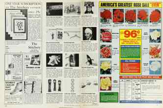 Better Homes & Gardens March 1976 Magazine Article: Page 144
