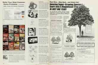 Better Homes & Gardens March 1976 Magazine Article: Page 146