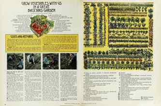 Archive of Better Homes & Gardens April 1976 Magazine: Page 56