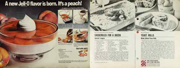 Better Homes & Gardens April 1976 Magazine Article: Page 98