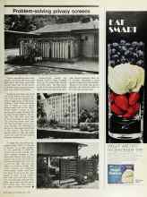 Better Homes & Gardens May 1976 Magazine Article: Problem-solving privacy screens