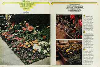 Better Homes & Gardens May 1976 Magazine Article: Make a big splash with little cash