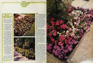 Better Homes & Gardens May 1976 Magazine Article: Page 80