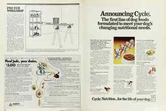 Better Homes & Gardens May 1976 Magazine Article: Page 140