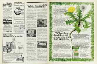 Better Homes & Gardens May 1976 Magazine Article: Page 142