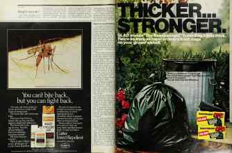 Better Homes & Gardens June 1976 Magazine Article: Page 38