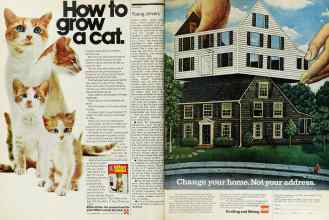 Better Homes & Gardens June 1976 Magazine Article: Page 44