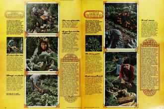 Better Homes & Gardens June 1976 Magazine Article: Page 66
