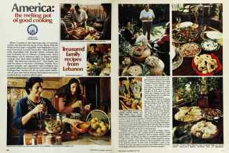 Better Homes & Gardens June 1976 Magazine Article: Page 100