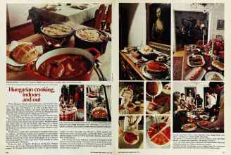 Better Homes & Gardens June 1976 Magazine Article: Page 104