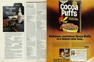 Better Homes & Gardens June 1976 Magazine Article: Page 124