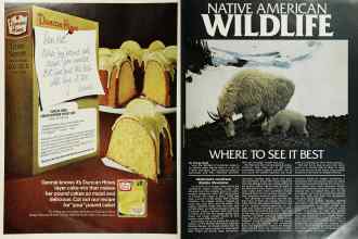 Better Homes & Gardens June 1976 Magazine Article: Page 138