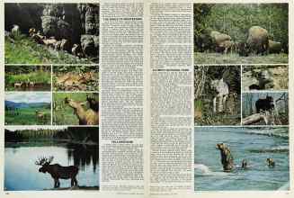 Better Homes & Gardens June 1976 Magazine Article: Page 140