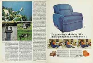 Better Homes & Gardens June 1976 Magazine Article: Page 142