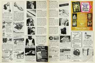 Better Homes & Gardens June 1976 Magazine Article: Page 160