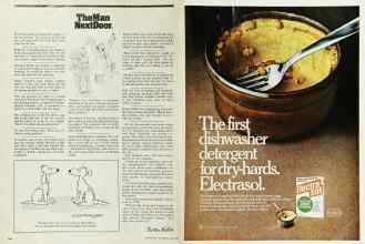 Better Homes & Gardens June 1976 Magazine Article: Page 166