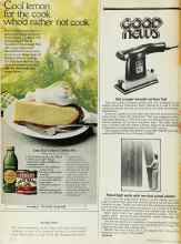 Better Homes & Gardens July 1976 Magazine Article: Panel high walls with ten-foot panel planks