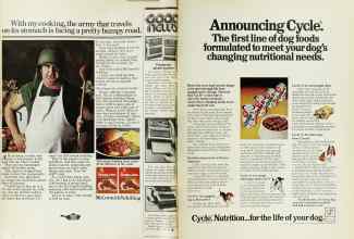 Better Homes & Gardens July 1976 Magazine Article: Page 16