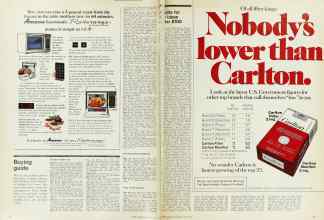 Better Homes & Gardens July 1976 Magazine Article: Page 30