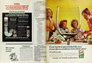 Better Homes & Gardens July 1976 Magazine Article: Page 38