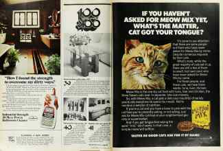 Better Homes & Gardens July 1976 Magazine Article: Page 74