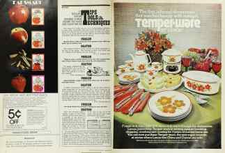 Better Homes & Gardens August 1976 Magazine Article: Page 26