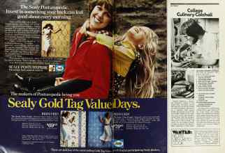 Better Homes & Gardens August 1976 Magazine Article: Page 32