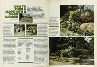 Better Homes & Gardens August 1976 Magazine Article: HOW TO TURN A SLOPE INTO A ROCK GARDEN
