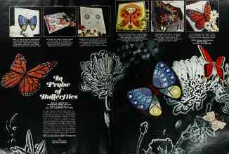 Better Homes & Gardens August 1976 Magazine Article: In Praise of Butterflies
