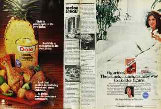 Better Homes & Gardens August 1976 Magazine Article: Page 80