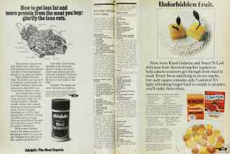 Better Homes & Gardens August 1976 Magazine Article: Page 90