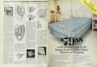 Better Homes & Gardens August 1976 Magazine Article: Page 110