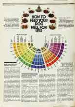 Better Homes & Gardens September 1976 Magazine Article: HOW TO FEED YOUR DOG WELL FOR LESS