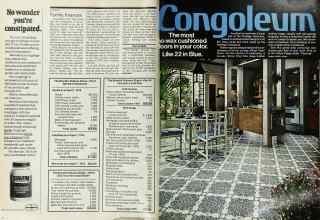 Better Homes & Gardens September 1976 Magazine Article: Page 20