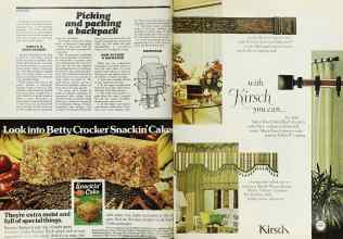 Better Homes & Gardens September 1976 Magazine Article: Page 58